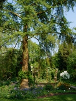 mei_2009_02a_groot.jpg