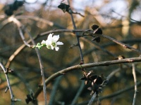 december-20-groot.jpg