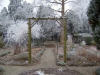 december-21-groot.jpg