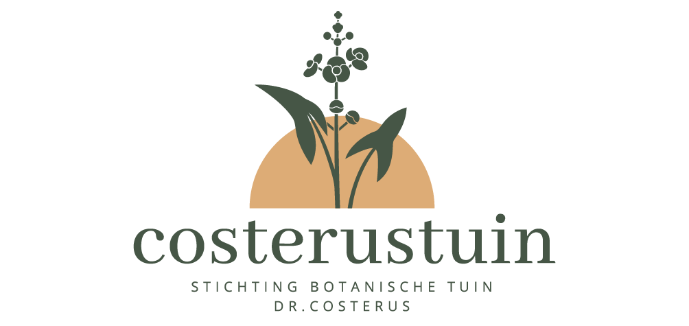 Stichting Botanische Tuin Dr. Costerus